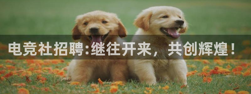泛亚电竞不结算：电竞社招聘:继往开来，共创辉煌！