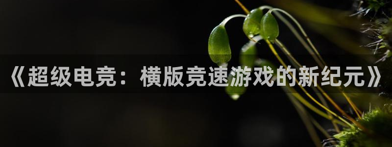 泛亚电竞平台代理理想论坛：《超级电竞：横版竞速游戏的新纪元》