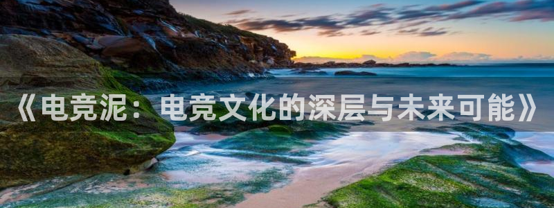 泛亚电竞综合：《电竞泥：电竞文化的深层与未来可能》