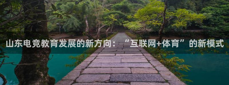 泛亚电竞精选：山东电竞教育发展的新方向：“互联网+体育”的新模式