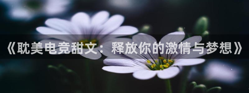 泛亚电竞首页app官方下载：《耽美电竞甜文：释放你的激情与梦想》