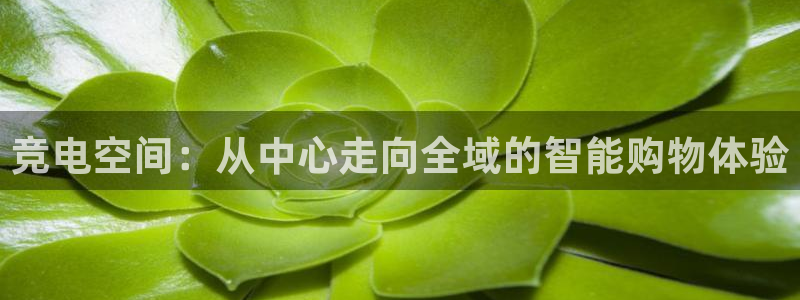 泛亚电竞内部：竞电空间：从中心走向全域的智能购物体验