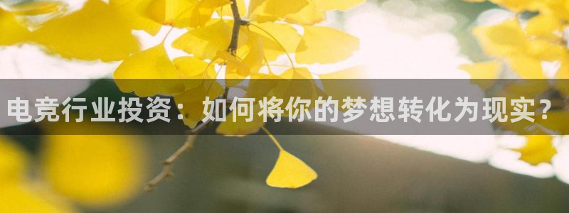 泛亚电竞：电竞行业投资：如何将你的梦想转化为现实？