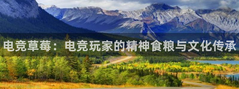 泛亚电竞lol官网：电竞草莓：电竞玩家的精神食粮与文化传承