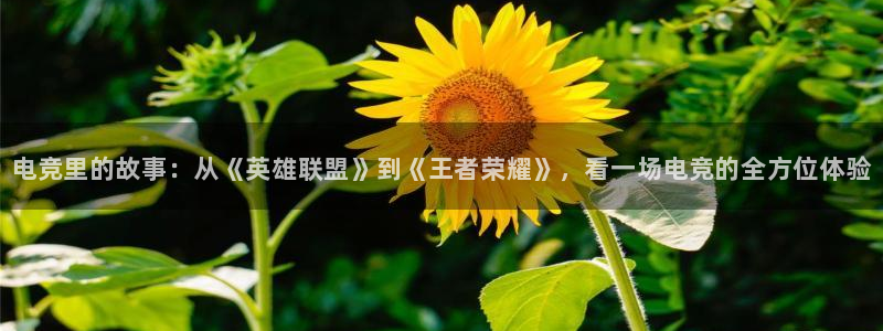 泛亚电竞平：电竞里的故事：从《英雄联盟》到《王者荣耀》，看一场电竞的全方位体验