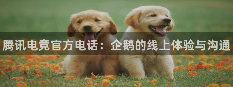 泛亚电竞在哪下载：腾讯电竞官方电话：企鹅的线上体验与沟通