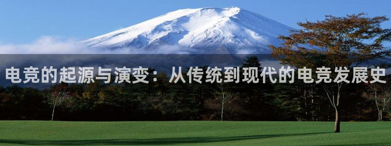 泛亚电竞手机版下载：电竞的起源与演变：从传统到现代的电竞发展史