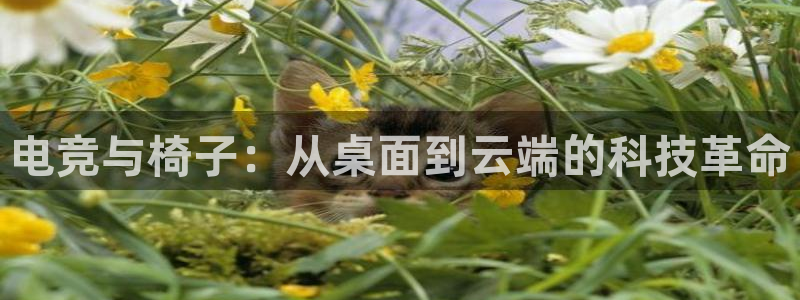 泛亚电竞是什么：电竞与椅子：从桌面到云端的科技革命