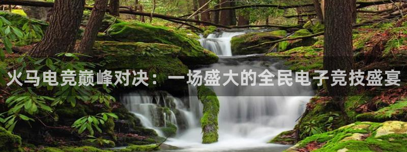 有泛亚电竞的平台：火马电竞巅峰对决：一场盛大的全民电子竞技盛宴