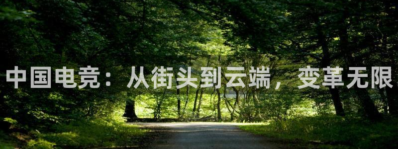 泛亚电竞平台官方最新版：中国电竞：从街头到云端，变革无限
