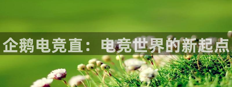 泛亚电竞综合APP：企鹅电竞直：电竞世界的新起点