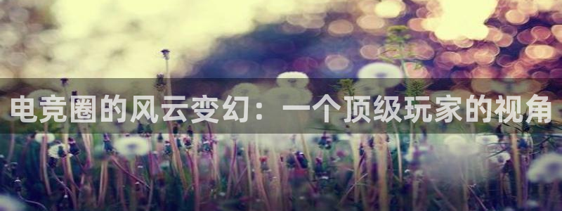 泛亚电竞不结算：电竞圈的风云变幻：一个顶级玩家的视角