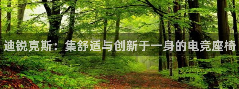 有泛亚电竞的平台：迪锐克斯：集舒适与创新于一身的电竞座椅