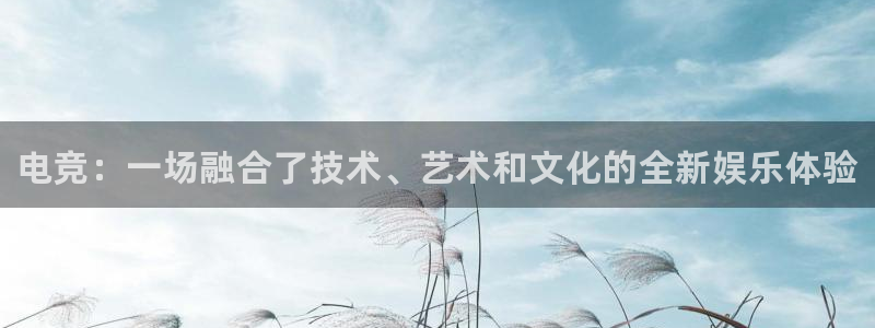 泛亚电竞在哪下载：电竞：一场融合了技术、艺术和文化的全新娱乐体验