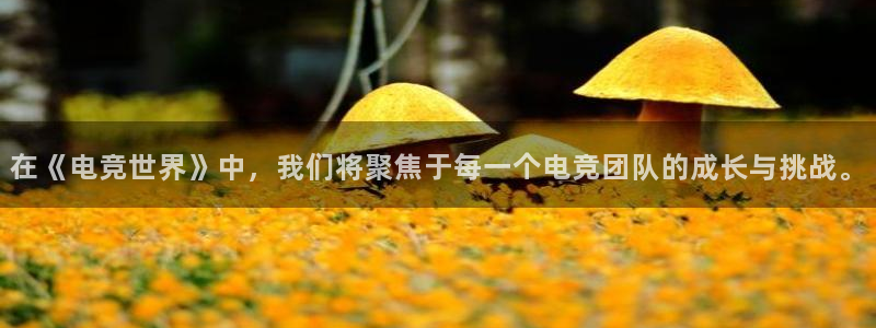 泛亚电竞平：在《电竞世界》中，我们将聚焦于每一个电竞团队的成长与挑战。