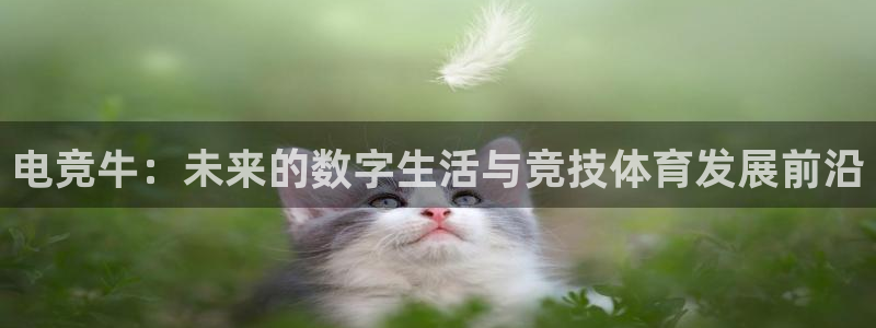 泛亚电竞平台官方最新版：电竞牛：未来的数字生活与竞技体育发展前沿