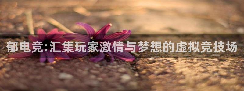 泛亚电竞综合：郁电竞:汇集玩家激情与梦想的虚拟竞技场